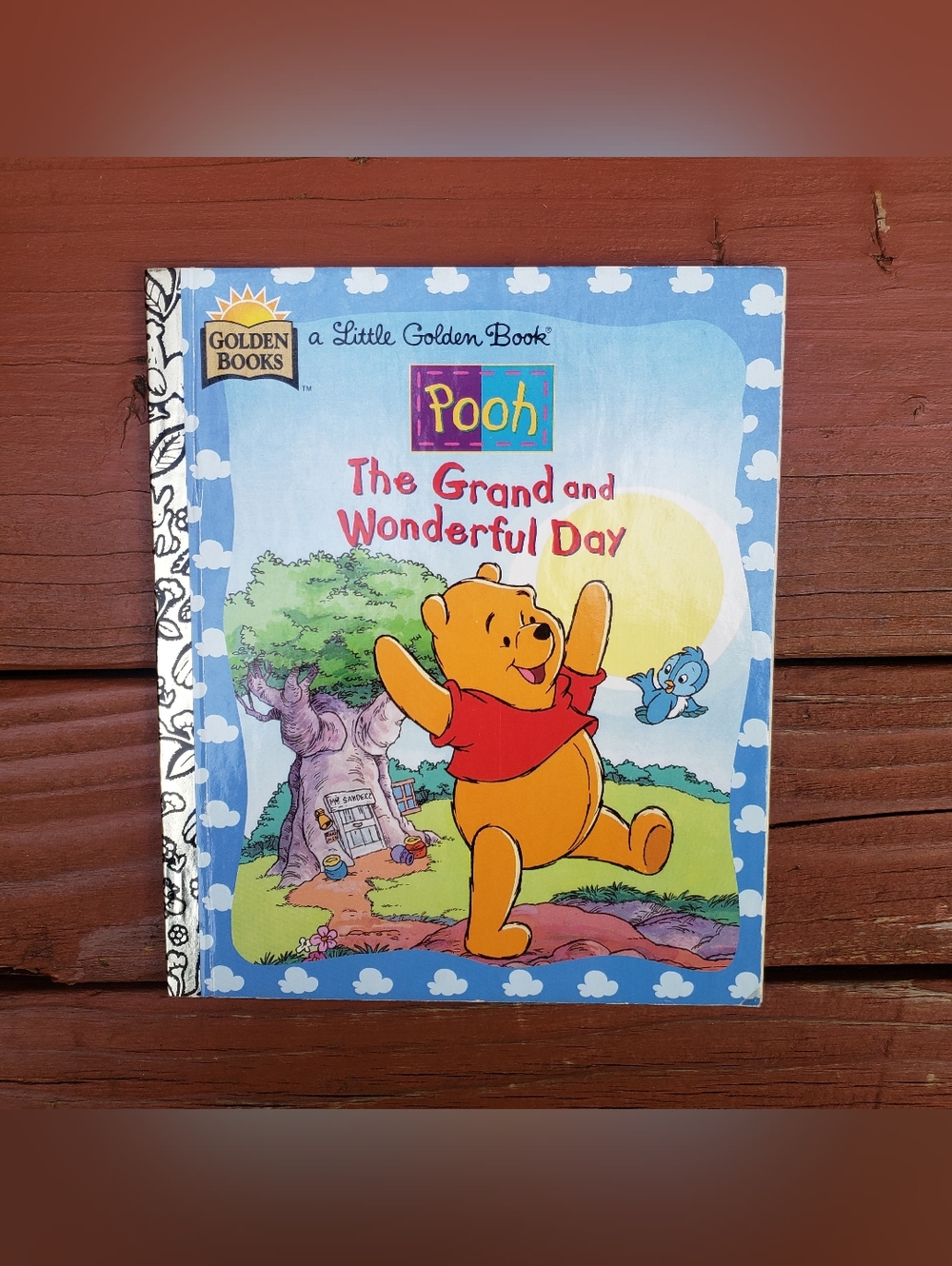 A Little Golden Book POOH The Grand and Wonderful Day Hardcover Book